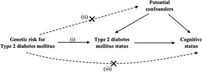 Type 2 Diabetes and Cognitive Status in the Health and Retirement Study: A Mendelian Randomization Approach